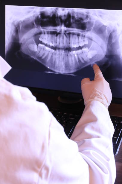 Best Emergency X-Rays and Diagnostics in South Kensington, MD